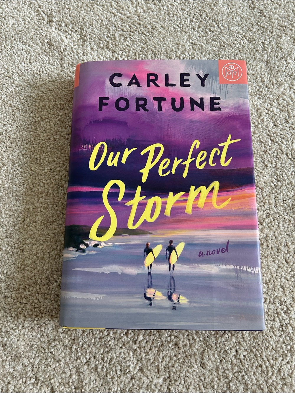 Our Perfect Storm Carley Fortune